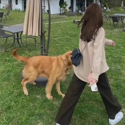 芭比之珍珠公主